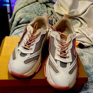 Steve Madden Possession